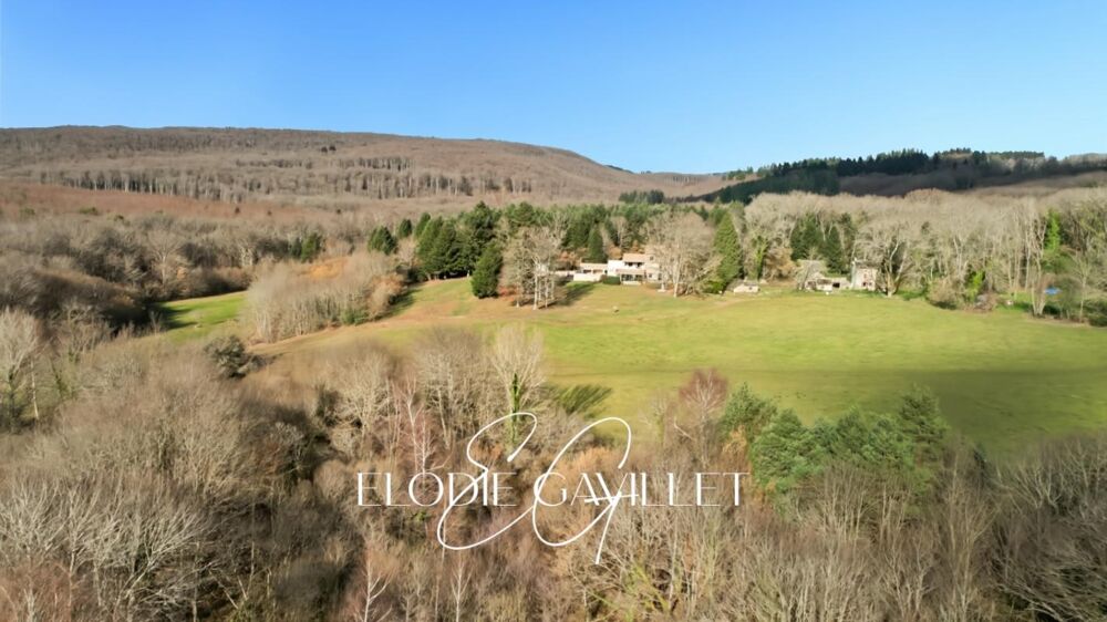 à vendre  Propriété/château Saint-Denis (11310)