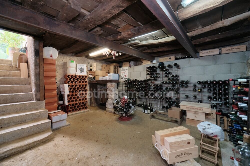  vendre  Proprit/chteau Montanay (69250)