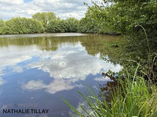  Propri�t�/ch�teau � vendre 12 pi�ces 365 m�