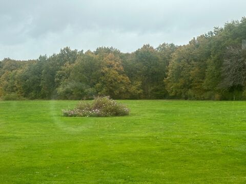   Propri�t� de charme � vendre proche de CHEVERNY (41) Propri�t�/ch�teau - 8 pi�ce(s) - 320 m�