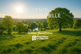  Propriété/château à vendre 13 pièces 700 m²