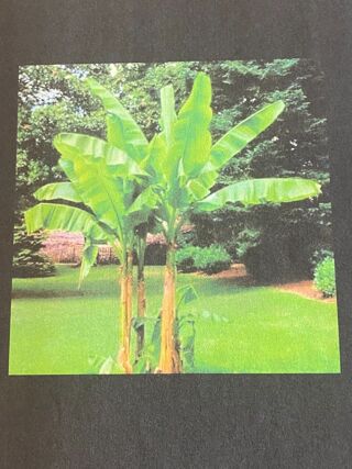  Maison 5 pices 124 m Sainte christie d armagnac