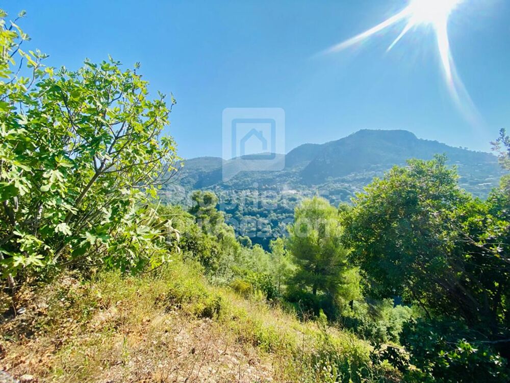 Vente Terrain Terrain Castagniers 1400 m2 Castagniers