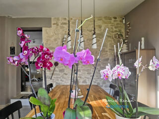  Maison à vendre 6 pièces 105 m²