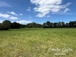  Terrain � vendre 19808 m�