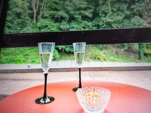  Appartement � louer 1 pi�ce 17 m�