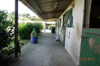  Terrain à vendre 15 + pièces 170000 m²