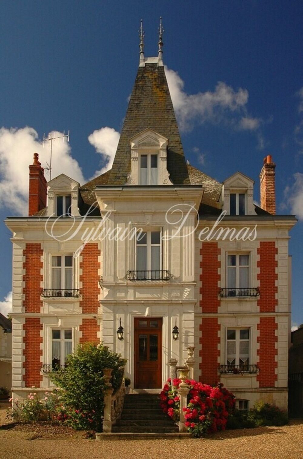 à vendre  Propriété/château Amboise (37400)