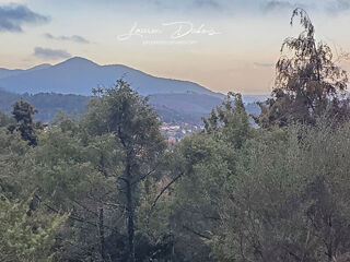  Terrain � vendre 9505 m�