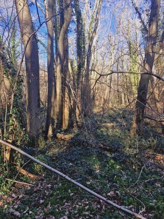  Terrain � vendre 1886 m�