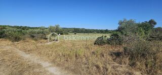  Terrain à vendre 15401 m²