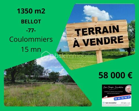TERRAIN CONSTRUCTIBLE 1350 m2 58000 77510 Rebais