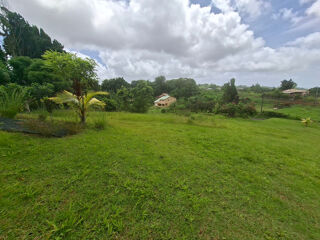  Terrain à vendre 4435 m²
