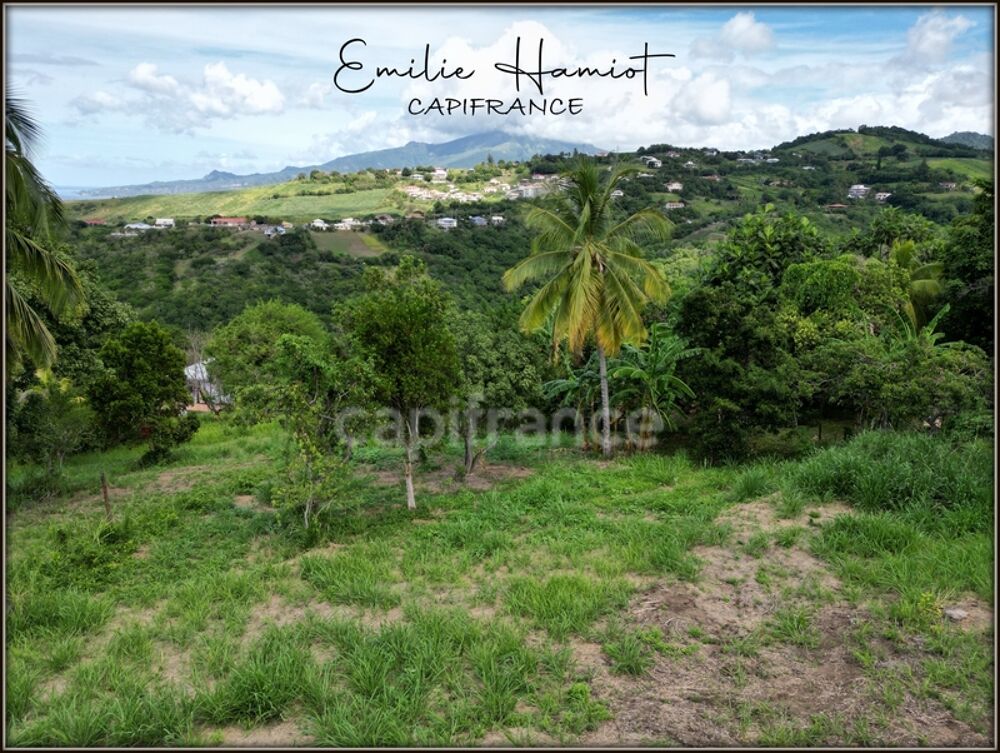 Vente Terrain A vendre – TERRAIN CONSTRUCTIBLE DE 1060 m² – LE CARBET - Quartier Bel-Event Le carbet