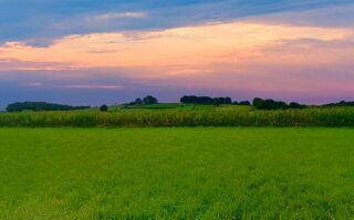  Terrain � vendre 11000 m�