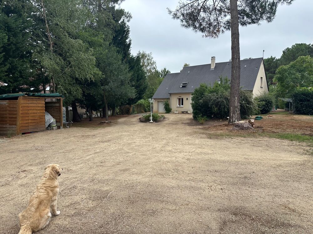 Vente Maison Magnifique maison familiale de 225 m², 6 chambres avec piscine et pinède à Guécélard – DPE B Guecelard