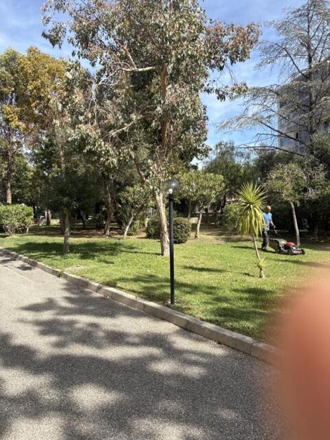  Appartement � louer 1 pi�ce 21 m�