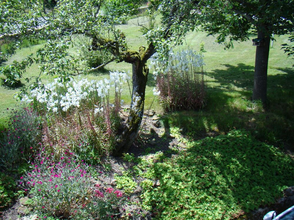 Vente Propriété/Château Propriété de caractère à vendre 6 pièces MAZILLE (71) dans le clunisois Mazille