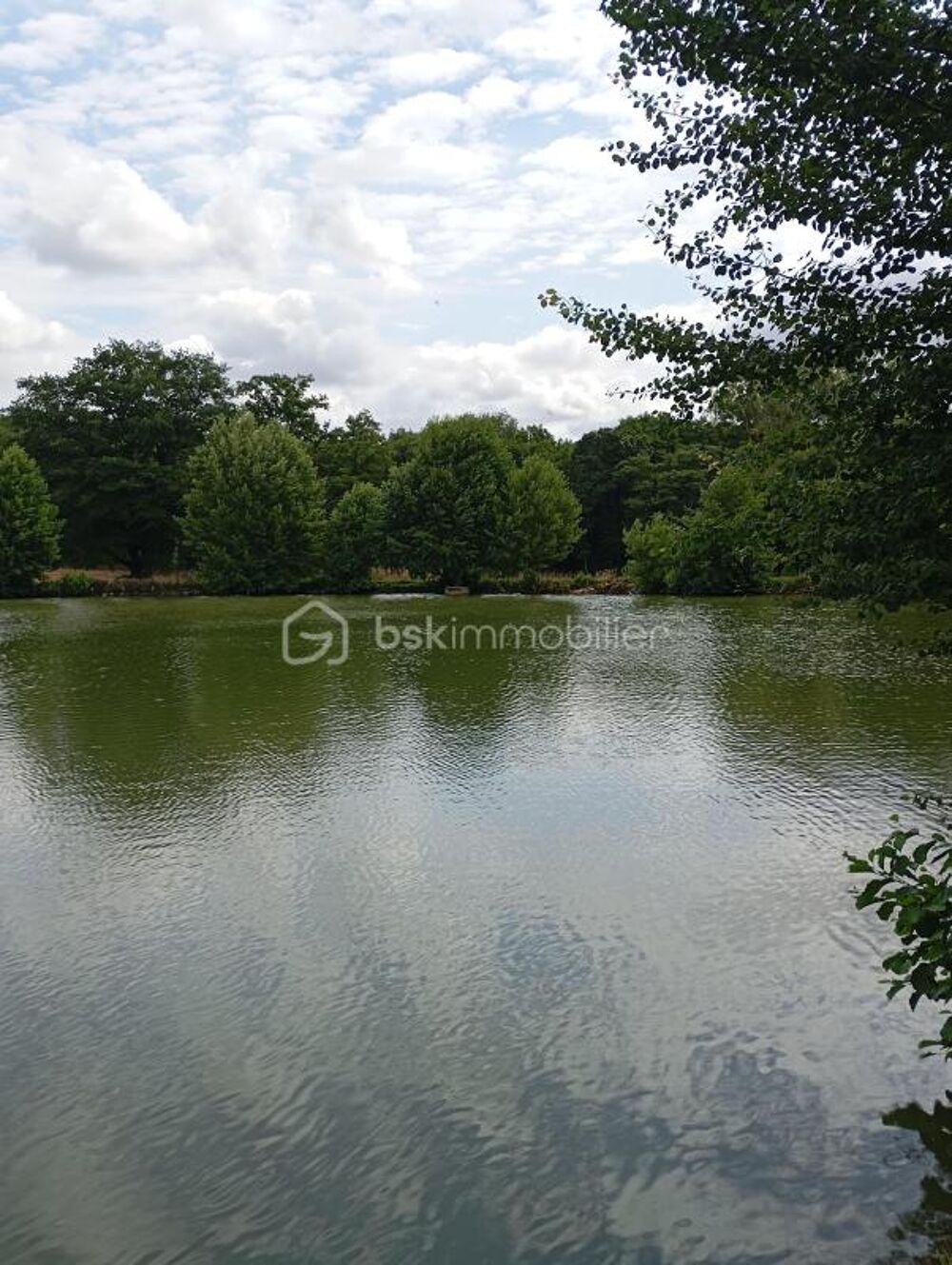Vente Terrain A saisir terrain de loisir aménagé avec son plan d'eau Asse le boisne