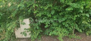  Terrain � vendre 972 m�