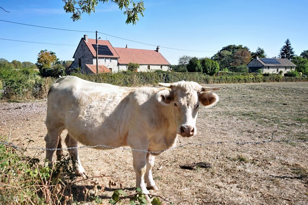 Vente Maison Maison de 230 m2 sur 763 m2 de parcelle à AUXY (71) Auxy