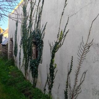  Maison à vendre 1 pièce 31 m²