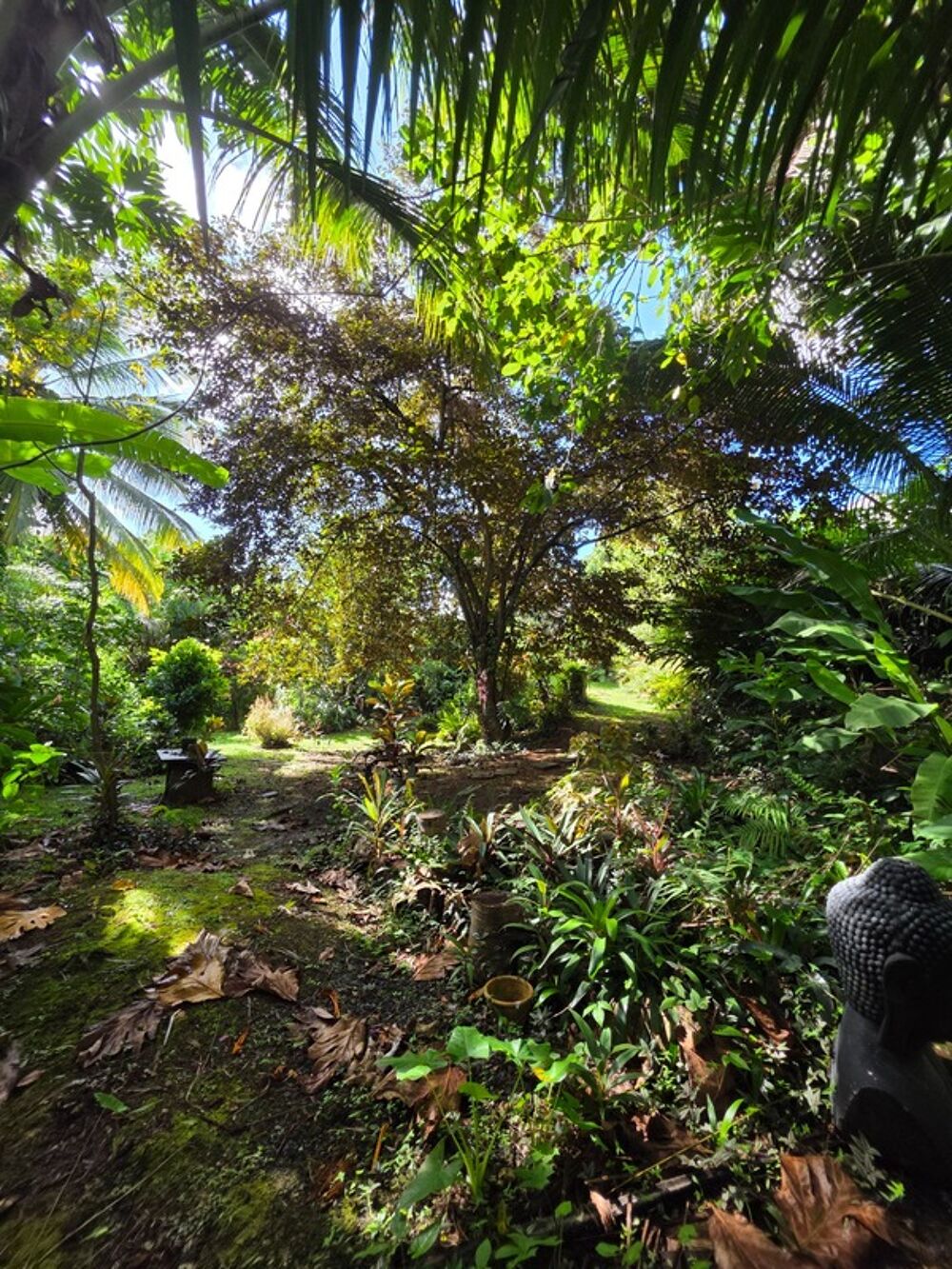 � vendre  Villa Baie-Mahault (97122)