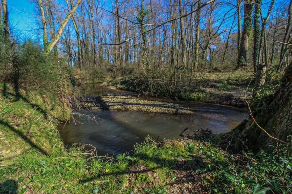 Vente Moulin Moulin 7 pièces avec chênaie d'environ 6 hectares Arsague