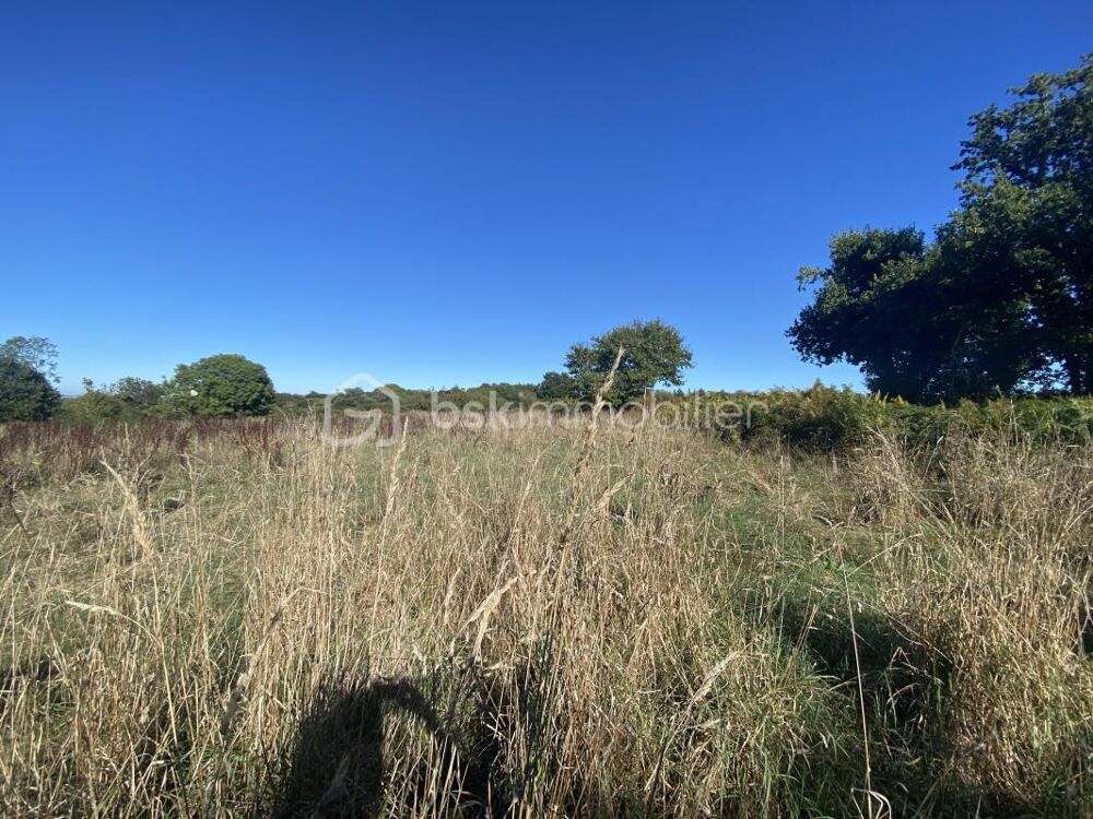Vente Terrain Terrain agricole Crozon