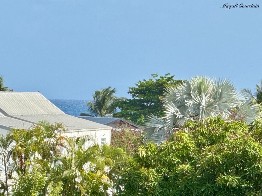 A VENDRE - PROPRIÉTÉ AVEC DEUX HABITATIONS INDÉPENDANTES AU COEUR DUN JARDIN TROPICAL À SAINTE-ANNE