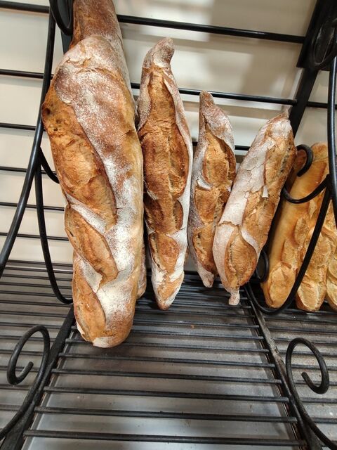   Boulangerie pâtisserie Rochefort centre – CA 540K€ – logement F4 