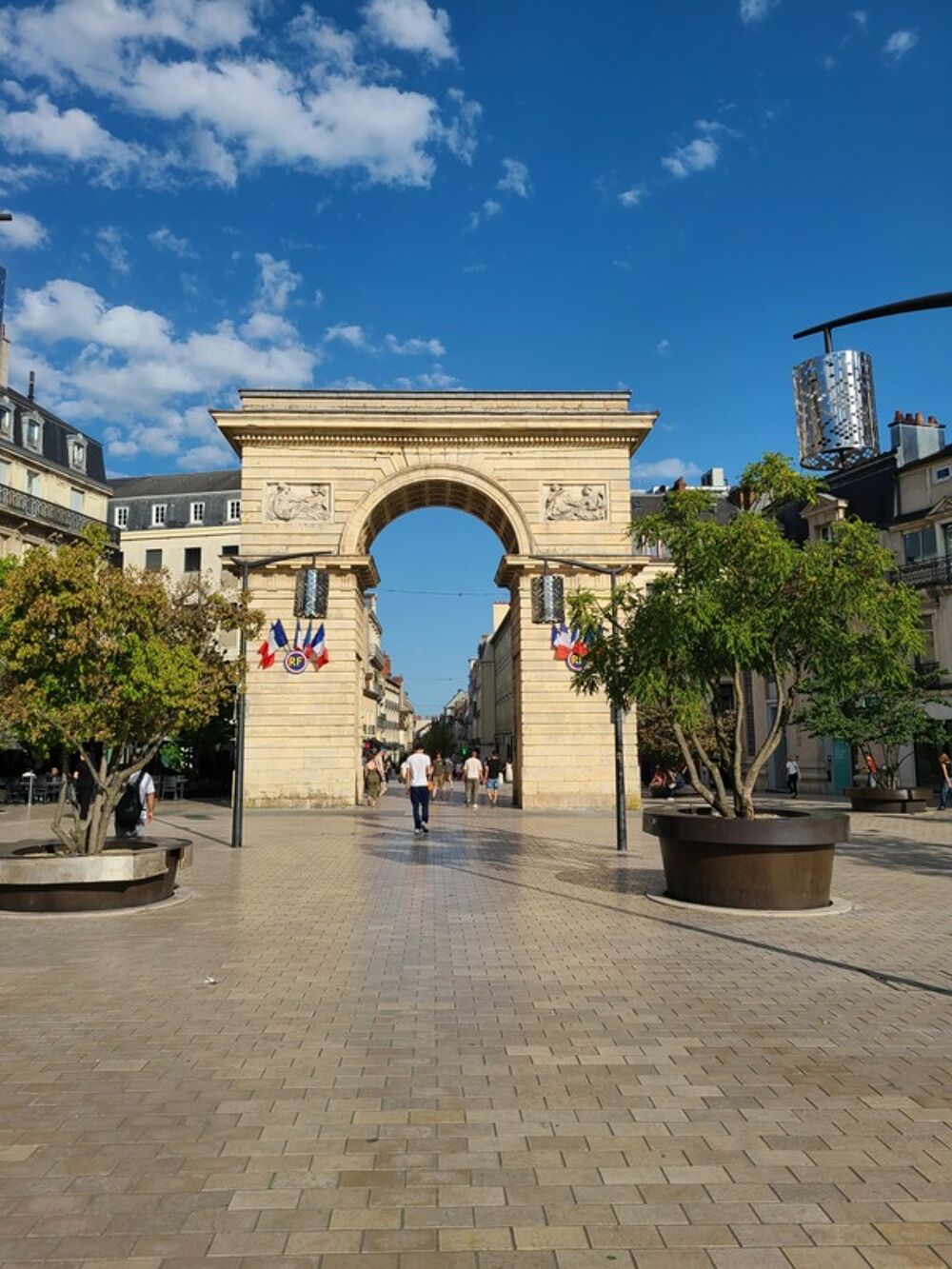 Coeur historique de Dijon- Grangier-Darcy -Râre-Appartement grands volumes - libre