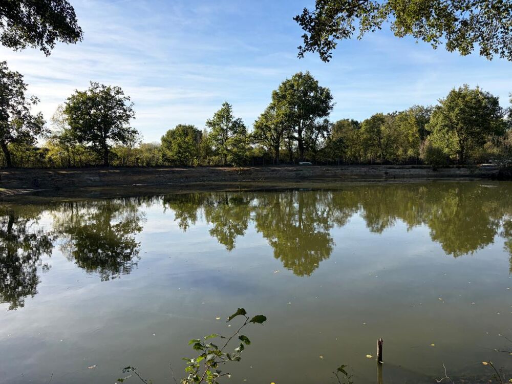Vente Terrain CHATEAU GUIBERT (85) CADRE IDYLLIQUE PARCELLE BOISEE DE LOISIR AVEC ETANG POISSONNEUX SUR 13000M² CLOS Chateau guibert
