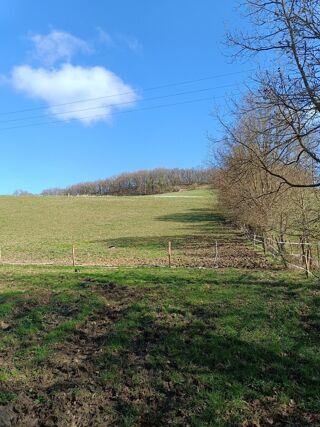  Terrain à vendre 66308 m²