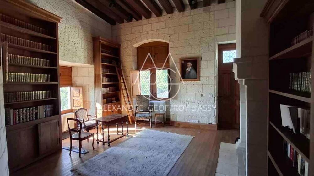 à vendre  Propriété/château Le Blanc (36300)