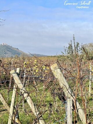  Terrain � vendre 2112 m�