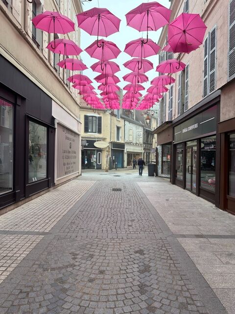 Local/bureau à louer MONTLUCON (03) local commercial 700 03100 Montlucon