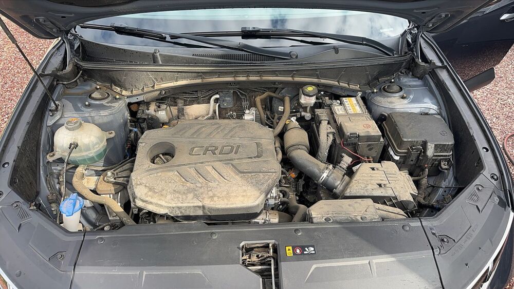 Tucson 1.6 CRDi 136 Mild Hybrid Executive 2021 occasion 77580 Maisoncelles En Brie