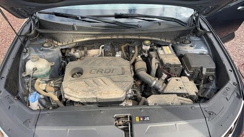 Tucson 1.6 CRDi 136 Mild Hybrid Executive 2021 occasion 77580 Maisoncelles En Brie