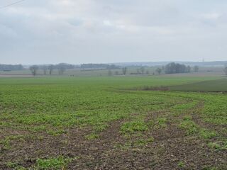  Terrain à vendre 926 m²