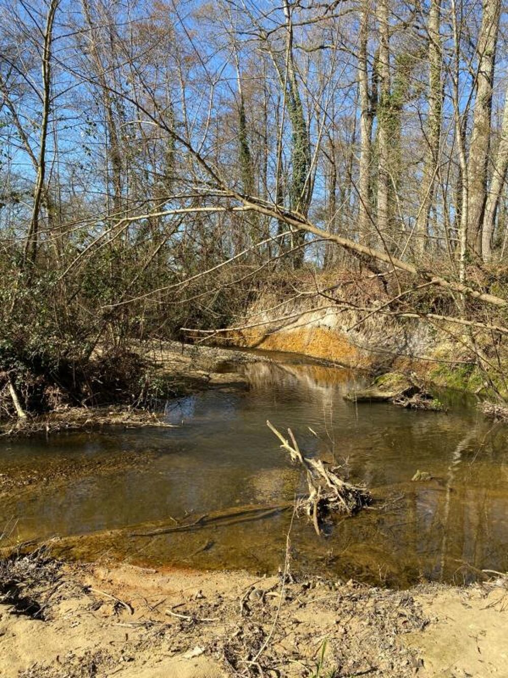 Moulin 7 pièces avec chênaie d'environ 6 hectares