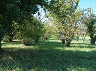  Terrain à vendre 1628 m²