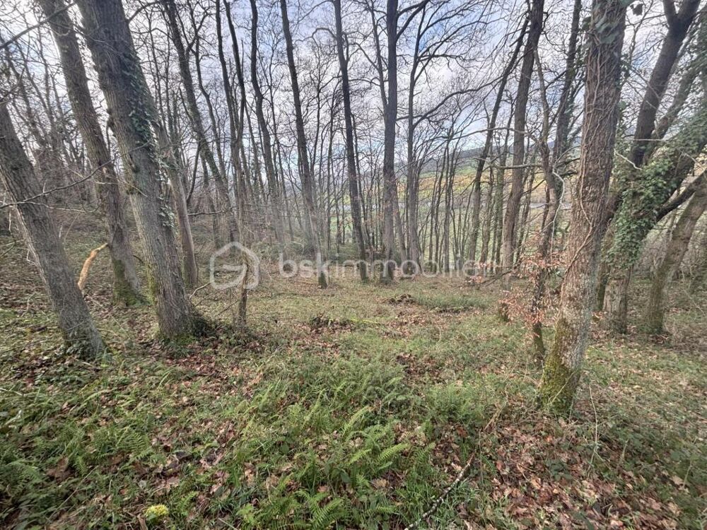 Vente Terrain ET SI VOUS POSSÉDIEZ 2,48 HECTARES DE FORÊT EN SUISSE NORMANDE ? Esson