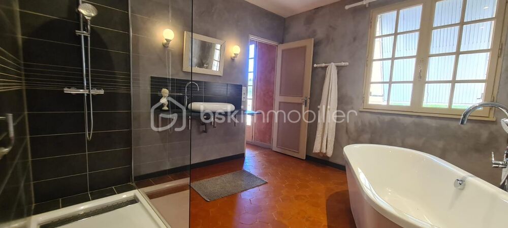 � vendre  Propri�t�/ch�teau Abeilhan (34290)