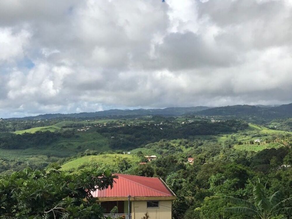 Vente Terrain Dpt Martinique (972), à vendre LA TRINITE terrain de 940 m² La trinite