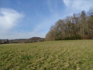 Vente Terrain Terrain Thonac 19000 m2 Thonac