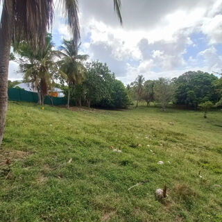 Terrain à vendre 968 m²