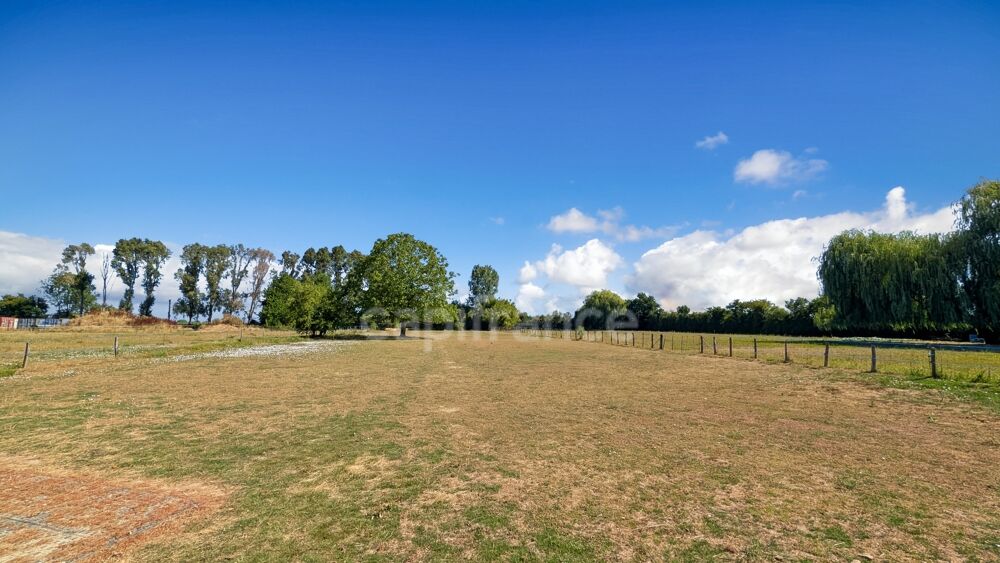 Vente Maison LANS (71) à vendre propriété de 116 m² 5 pièces - aménagement équestre et terrain de 26 264 m² (Futur DPE en D) Lans