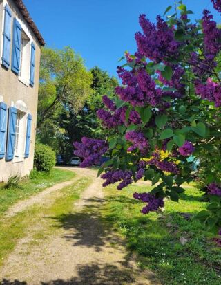  Maison � vendre 7 pi�ces 234 m�