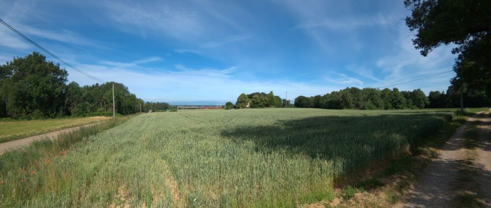 Vente Terrain ?A vendre - Roybon (38940) – 3 parcelles de terrain agricole avec potentiel de loisirs et d'activités nature Roybon
